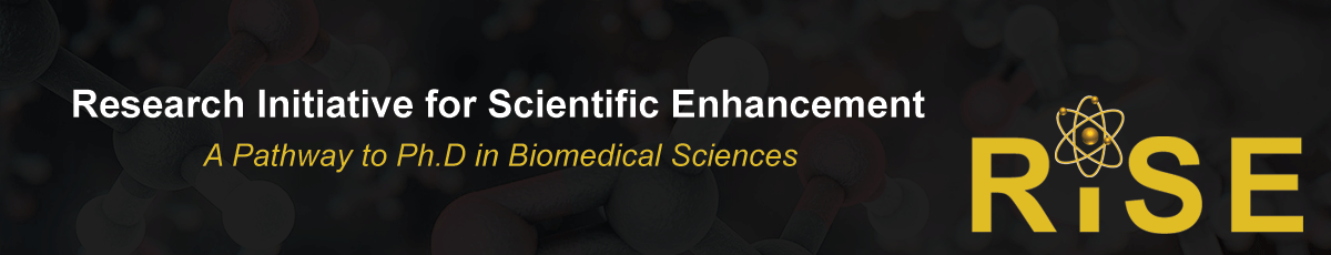 Learn about the Research Initiative for Scientific Enhancement
