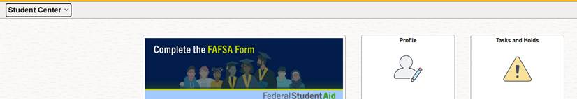 Screenshot of CUNYFirst Select Profile screen