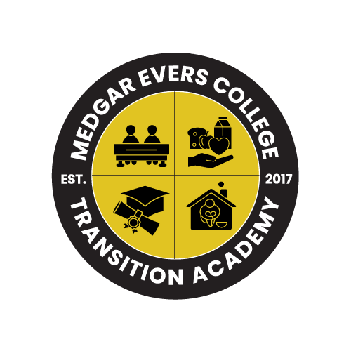 Transition Academy logo