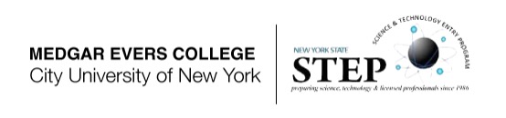 STEP logo